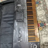 ارگ pa3سالم به شرط کارشناسی