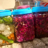 انواع ترشیجات خوشمزه|خوردنی و آشامیدنی|تهران, زعفرانیه|دیوار