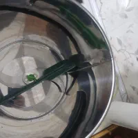 سبزی خورد کن