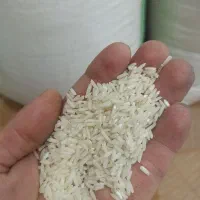 برنج هاشمی درجه یک