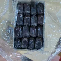 فروش رطب مضافتی بم با بهترین کیفیت عمده و جزئی|خوردنی و آشامیدنی|تهران, تهران‌نو|دیوار