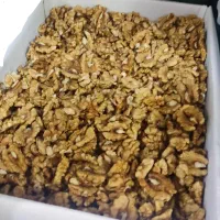 مغز گردو درجه 1 ایرانی