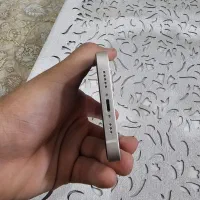 آیفون 13 نرمال|موبایل|بوشهر, |دیوار