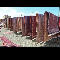 قالیشویی و مبل شویی هستی|خدمات نظافت|ملارد, |دیوار