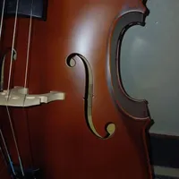 ویلونسل 4/4