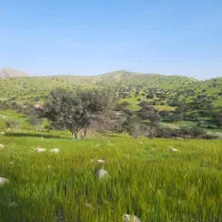 فروش زمین مسکونی