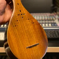 ساز دست ساز استاد سینا|سازهای سنتی|تهران, شهر زیبا|دیوار