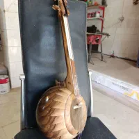 کمانچه حرفه ای پردیور