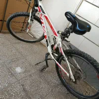 دوچرخه|دوچرخه، اسکیت، اسکوتر|برازجان, |دیوار