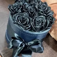 گل روبانی مشکی