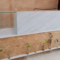 دستگاه قهوه ساز دکور آسیاب میز و صندلی کافه|کافیشاپ و رستوران|شیراز, شهرک امیر کبیر|دیوار