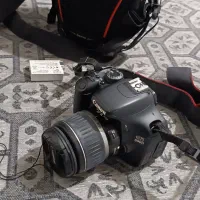 دوربین کنون|دوربین عکاسی و فیلم‌برداری|قم, چهل درخت‎|دیوار