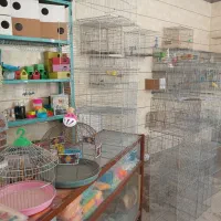 سلام تعدادی پرنده و وسایل پرنده فروشی ب قیمت خرید