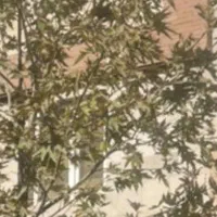 217متر-با-بر-9-30-با-جواز-5طبقه