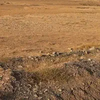 241 متر زمین فروشی بلوار امام علی
