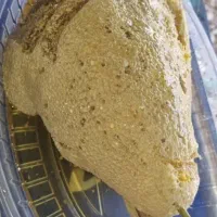 عسل طبیعی کوهی|خوردنی و آشامیدنی|تهران, تجریش|دیوار