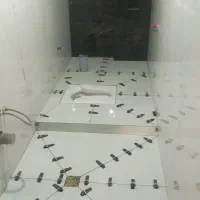 کاشی کاری و نماکاری|خدمات پیشه و مهارت|گناباد, |دیوار