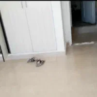 اجاره آپارتمان ۷۰متری ۱ خوابه خیابان سپاه|اجارهٔ آپارتمان|فیروزکوه, |دیوار