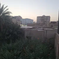 زمین-کلنگی