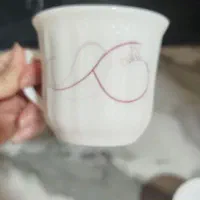 دو دست فنجون ارکوپال