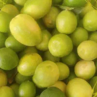 لیمو ترش