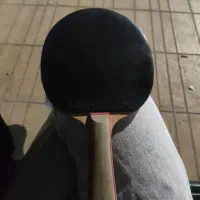 راکت پینگ پنگ dhs|ورزشهای توپی|شیراز, سینما سعدی|دیوار