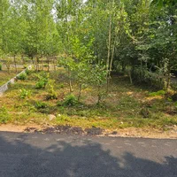 ۳۳۶ متر زمین تمام مسکونی ۲ بر|فروش زمین و ملک کلنگی|سیاهکل, |دیوار