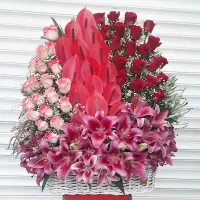 گل نمایشگاهی بین المللی سئول ایران مال شهر آفتاب|گل و گیاه طبیعی|تهران, امانیه|دیوار