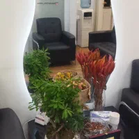 ویزیت تزریقات و خدمات درمانی|پزشکی|تهران, ونک|دیوار