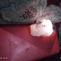 چندعددسنگ فروشی مشتری پیام بده