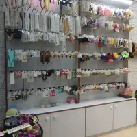 رگال اکسسوری نو