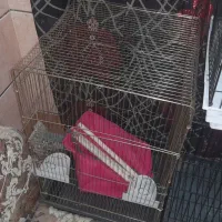 چهار عدد قفس