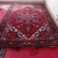 فرش ۶متری تک بارماخ توخوش|فرش|هوراند, |دیوار