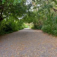 خط تلفن ثابت