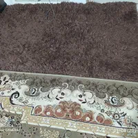 پادری تدی  بسیار نرم و شیک و سالم