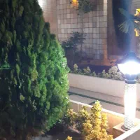 کلیه کارهای باغبانی درکوهپایه|خدمات باغبانی و درختکاری|کرمان, |دیوار