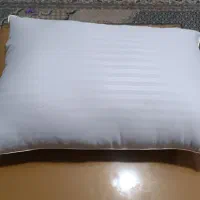 تولید بالشت هتلی مجد|رختخواب، بالش، پتو|مشکیندشت, |دیوار