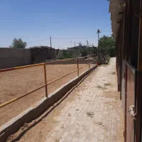 باشگاه اسب سواری شریف آباد|اجارهٔ خانه و ویلا|سیرجان, |دیوار