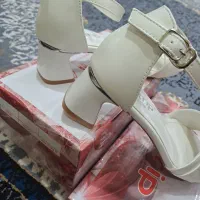 کفش ۳۸