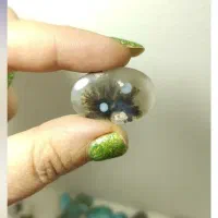 شجر قائن شجر تک درخت شجر مشکی|جواهرات|خمینیشهر, |دیوار