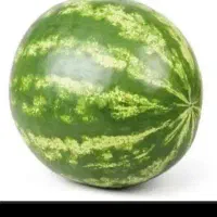 بسته بندی هندوانه