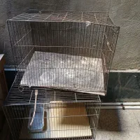 قفس پرنده|لوازم جانبی حیوانات|قم, ولیعصر|دیوار