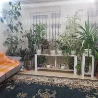 مجتمع نیایش/تکخواب شده/خوش نقشه/آسانسور فعال|فروش آپارتمان|گلبهار, شهر جدید گلبهار|دیوار