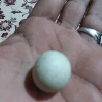 سنگ آسیاب|کلکسیون اشیاء عتیقه|زابل, |دیوار