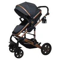 ست کالسکه و کریر اسپرینگ مدل اسپیدا بدنه برنز