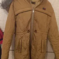 پالتو تاسایز ۴۰ میخوره