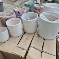 گل وگلدون|گل و گیاه طبیعی|گنبد کاووس, |دیوار