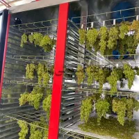 میوه خشک کن سبزی کنی صنعتی 60 سینی گازی * برقی|ماشینآلات صنعتی|اردبیل, |دیوار