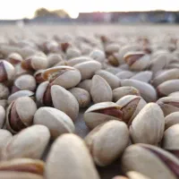 پسته درجه یک فیض آباد خراسان کیفیت بالا|خوردنی و آشامیدنی|شهرکرد, |دیوار