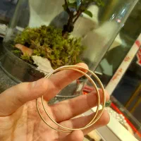 النگوی بی اجرت آیینه ای|جواهرات|قم, ارم|دیوار